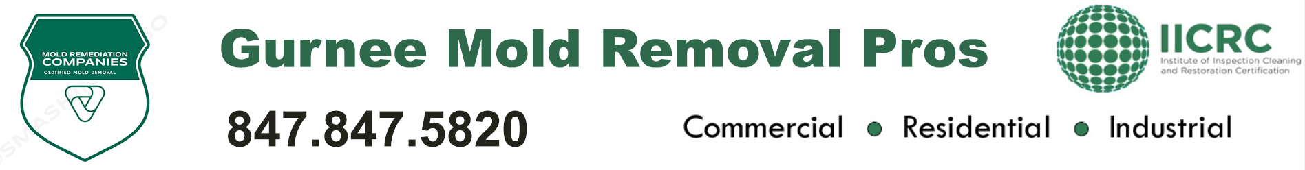 Gurnee Mold Removal Pros